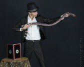 tipo_show_fokusnik_04